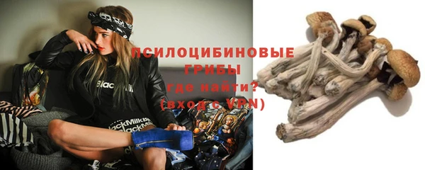 apvp Беломорск