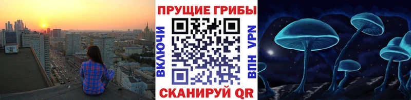 Псилоцибиновые грибы ЛСД  наркошоп  Яровое 